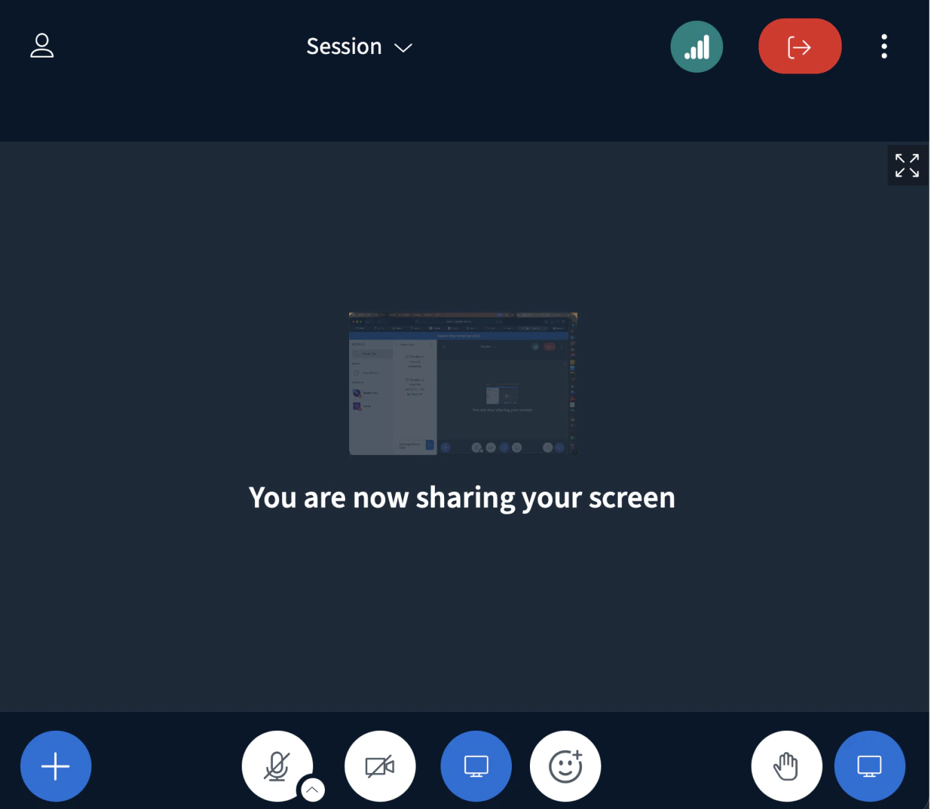 Presentation area showing the shared screen