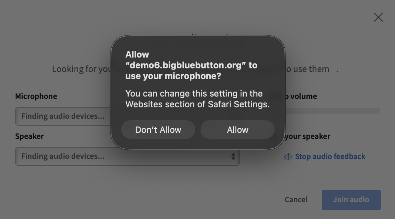 Allow audio in Safari