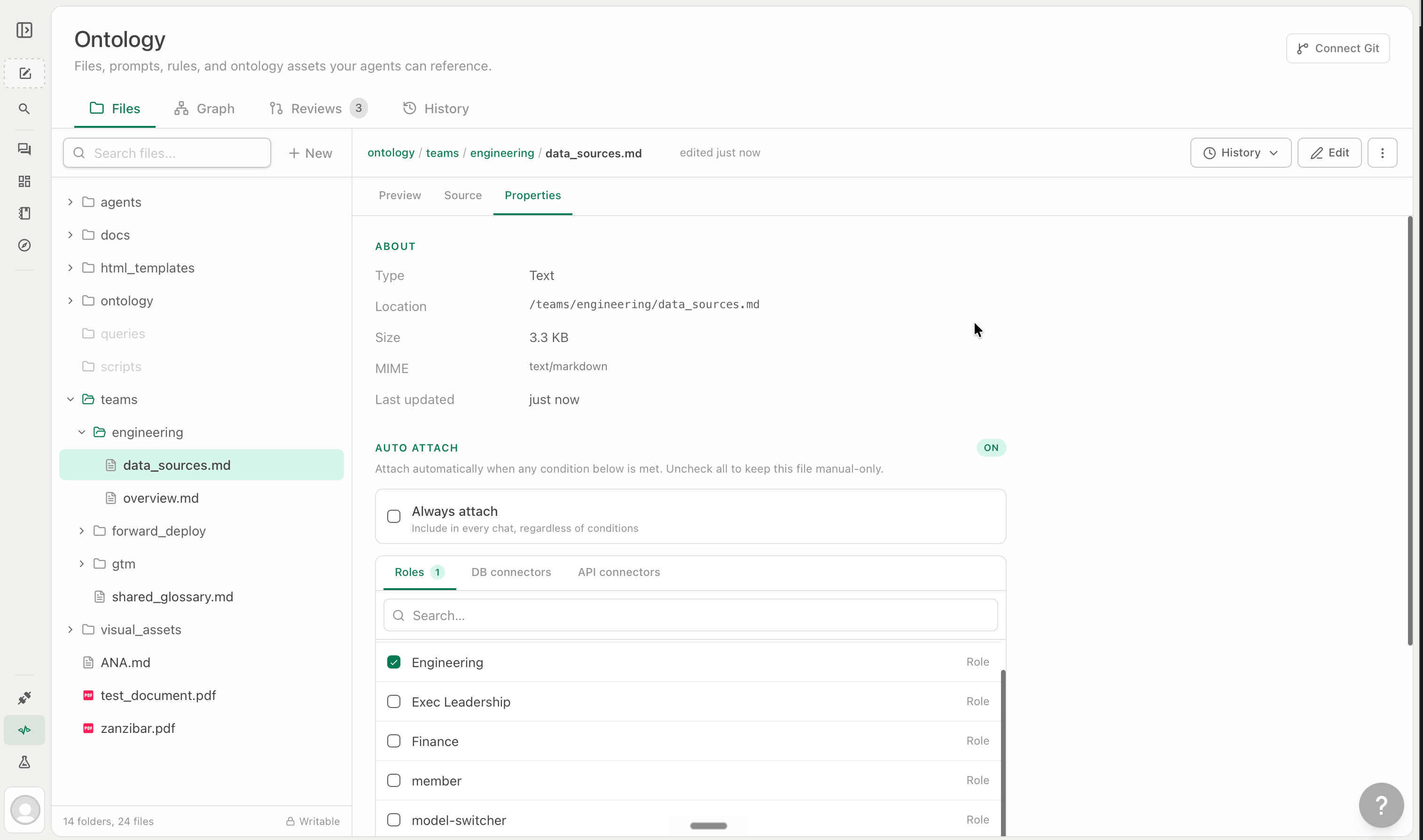File properties showing Auto Attach settings