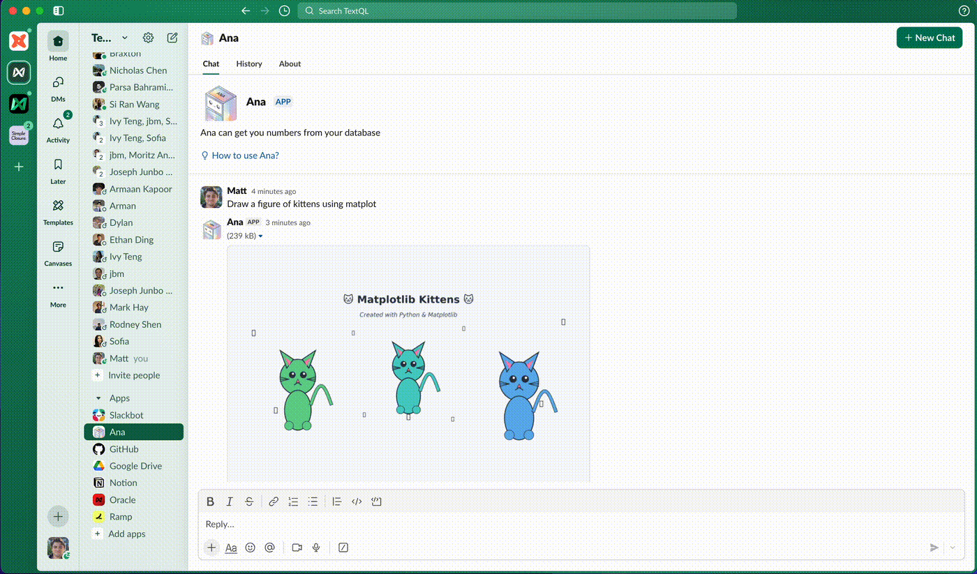 Direct messages with Ana