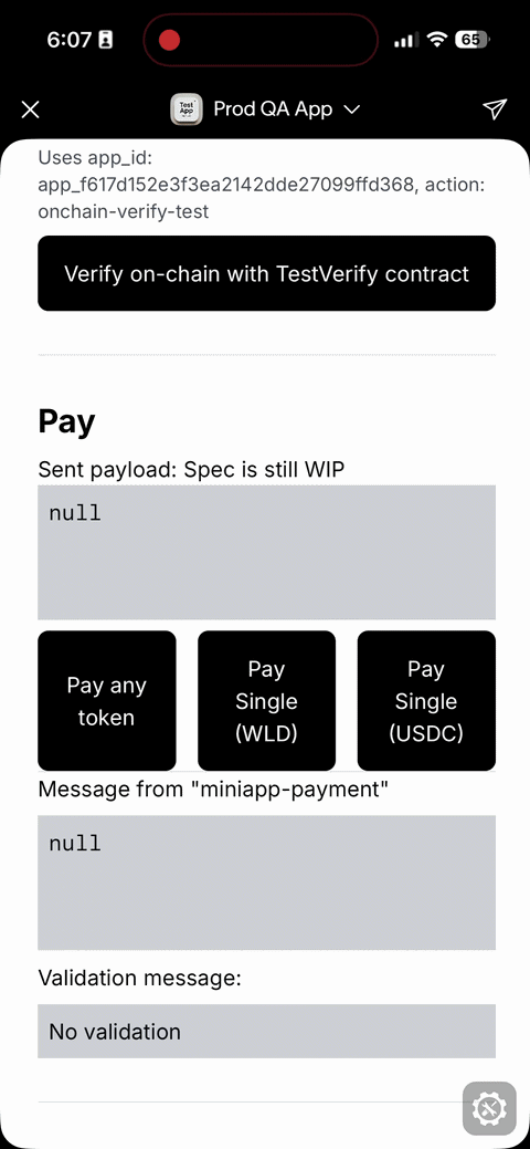 Pay command demo