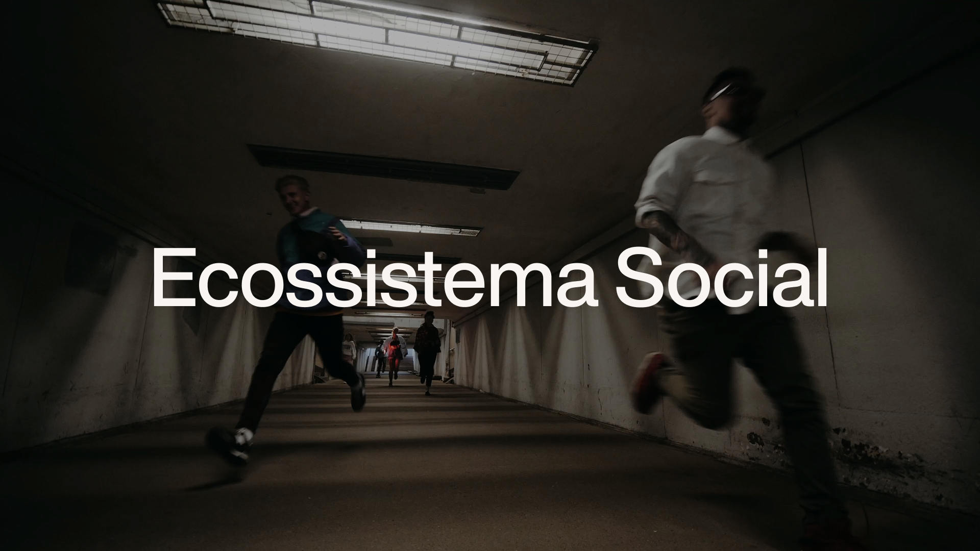EcossistemaSocial