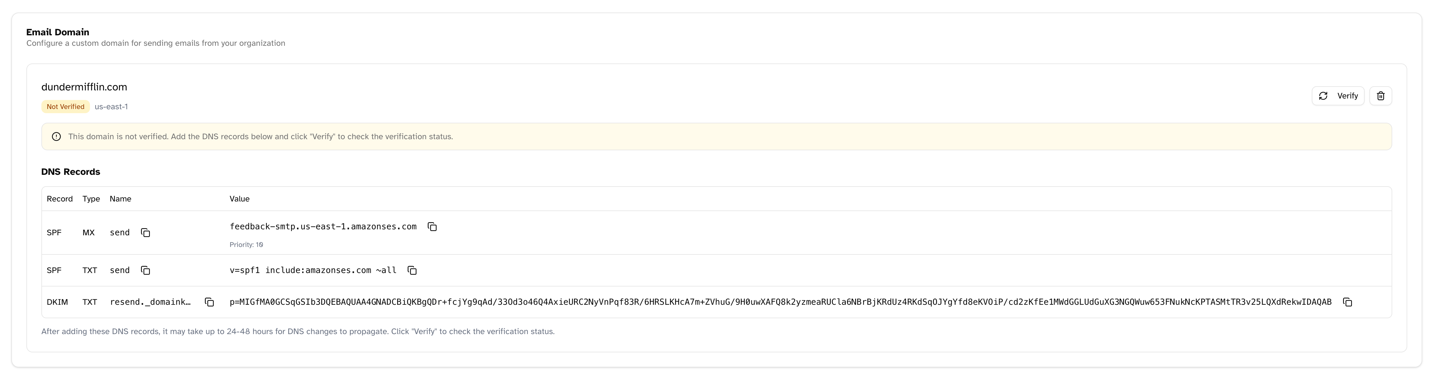 Table showing required DNS records for domain verification