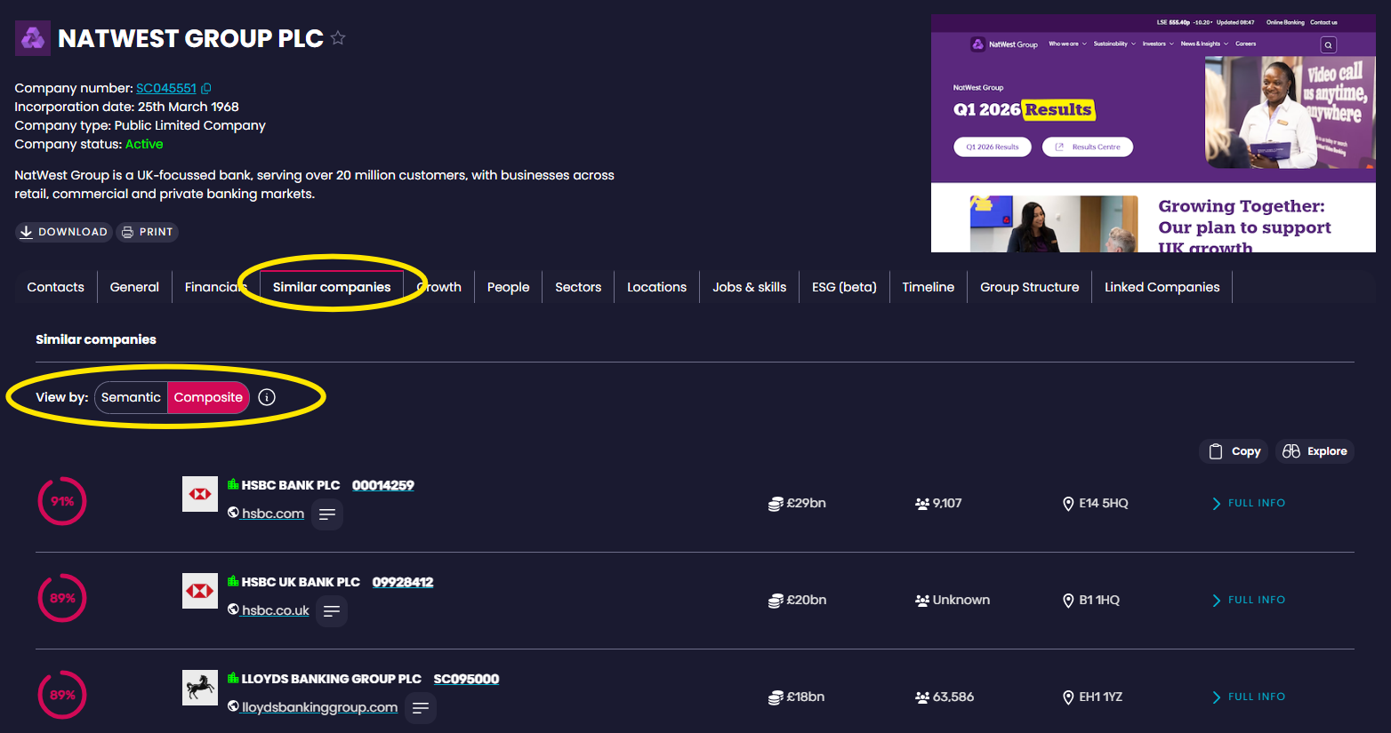 The Similar companies tab in Full Info, with the Semantic and Composite toggle highlighted