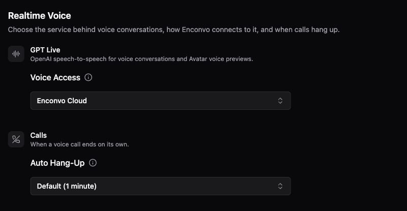 Realtime Voice access and automatic hang-up settings