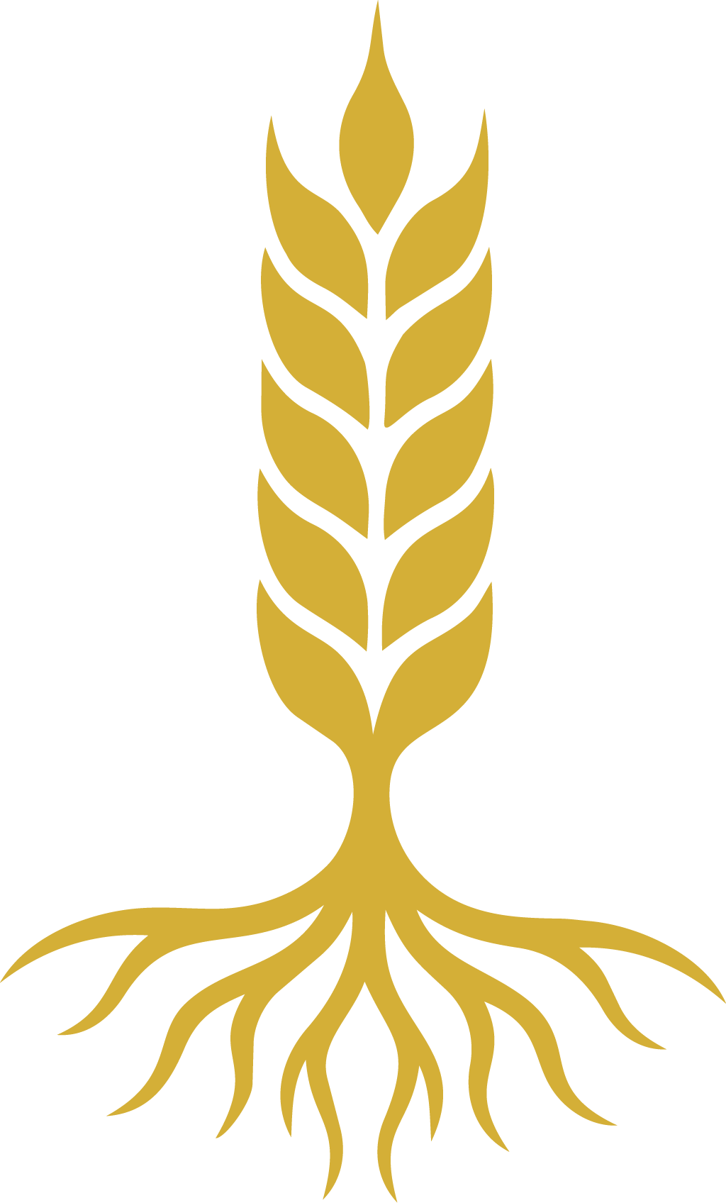 light logo