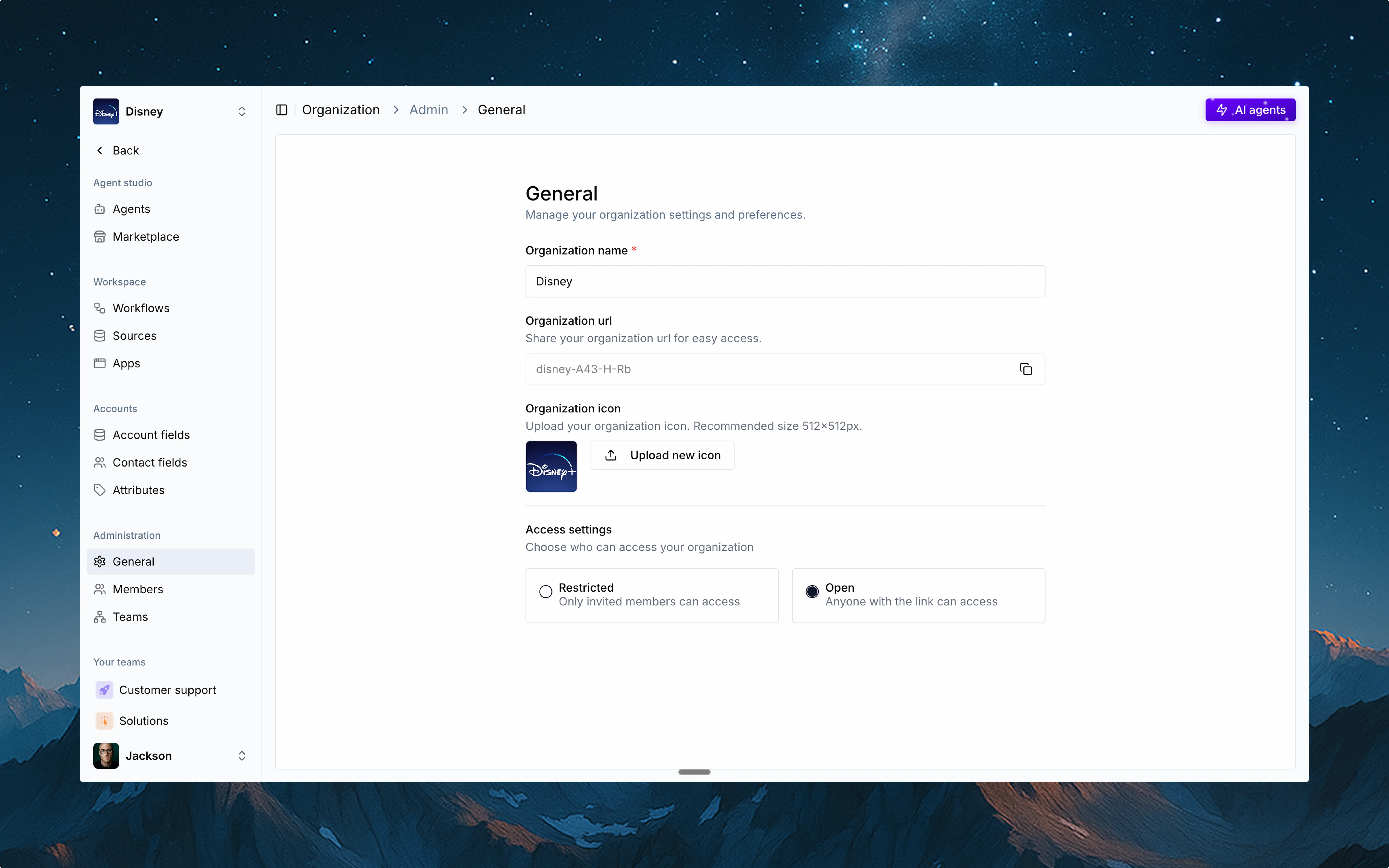Organization setup interface