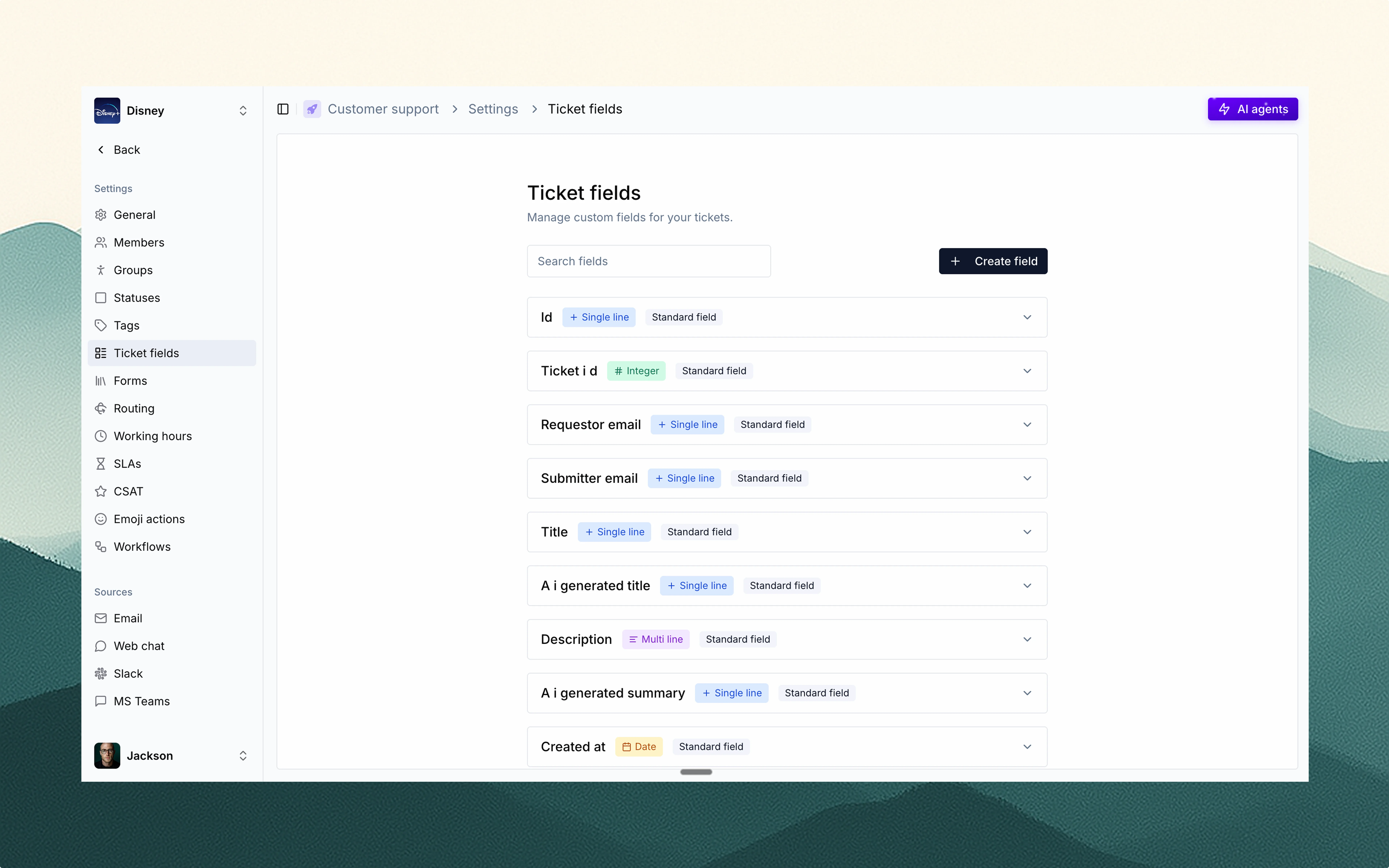Ticket fields interface