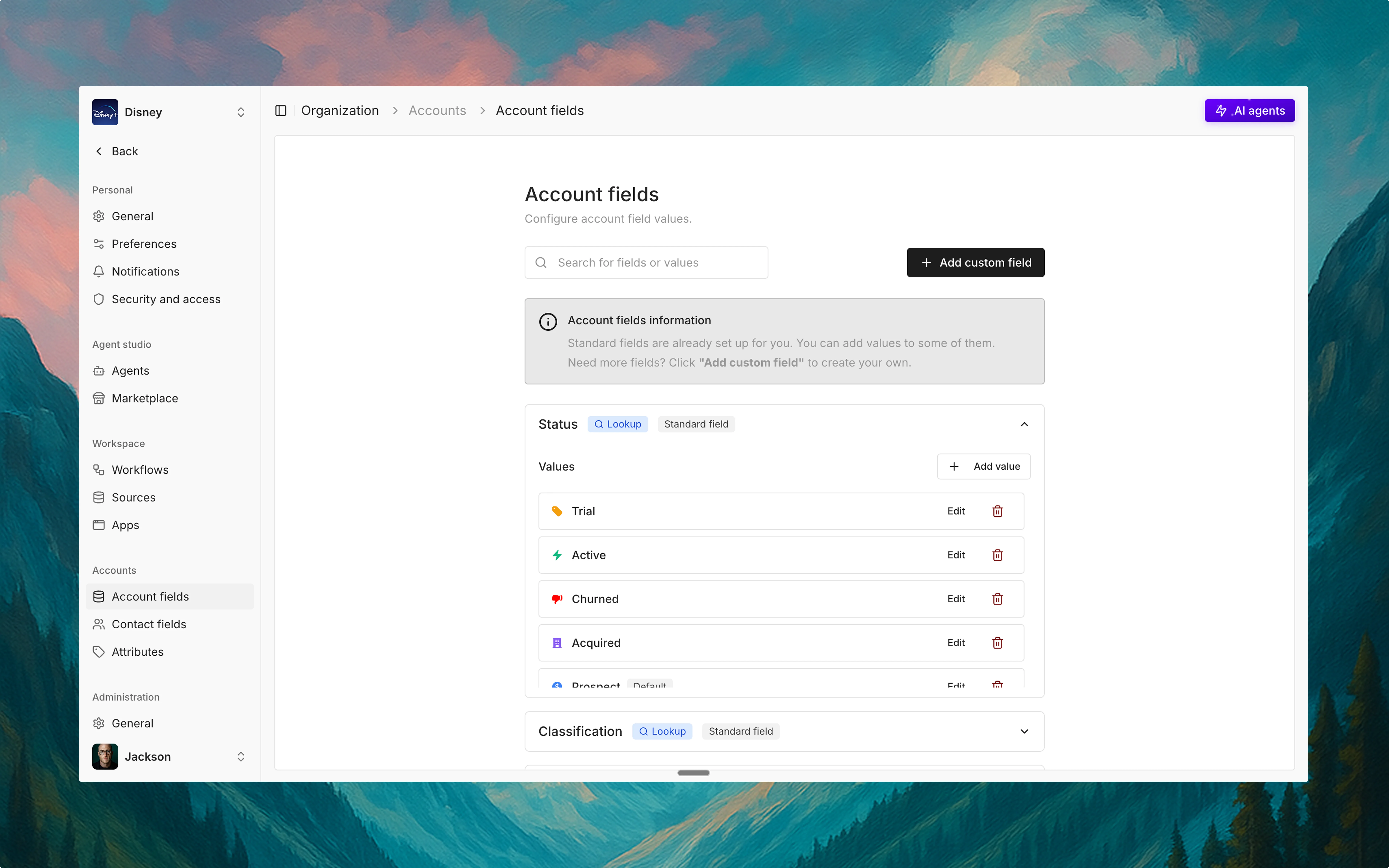 Account fields interface