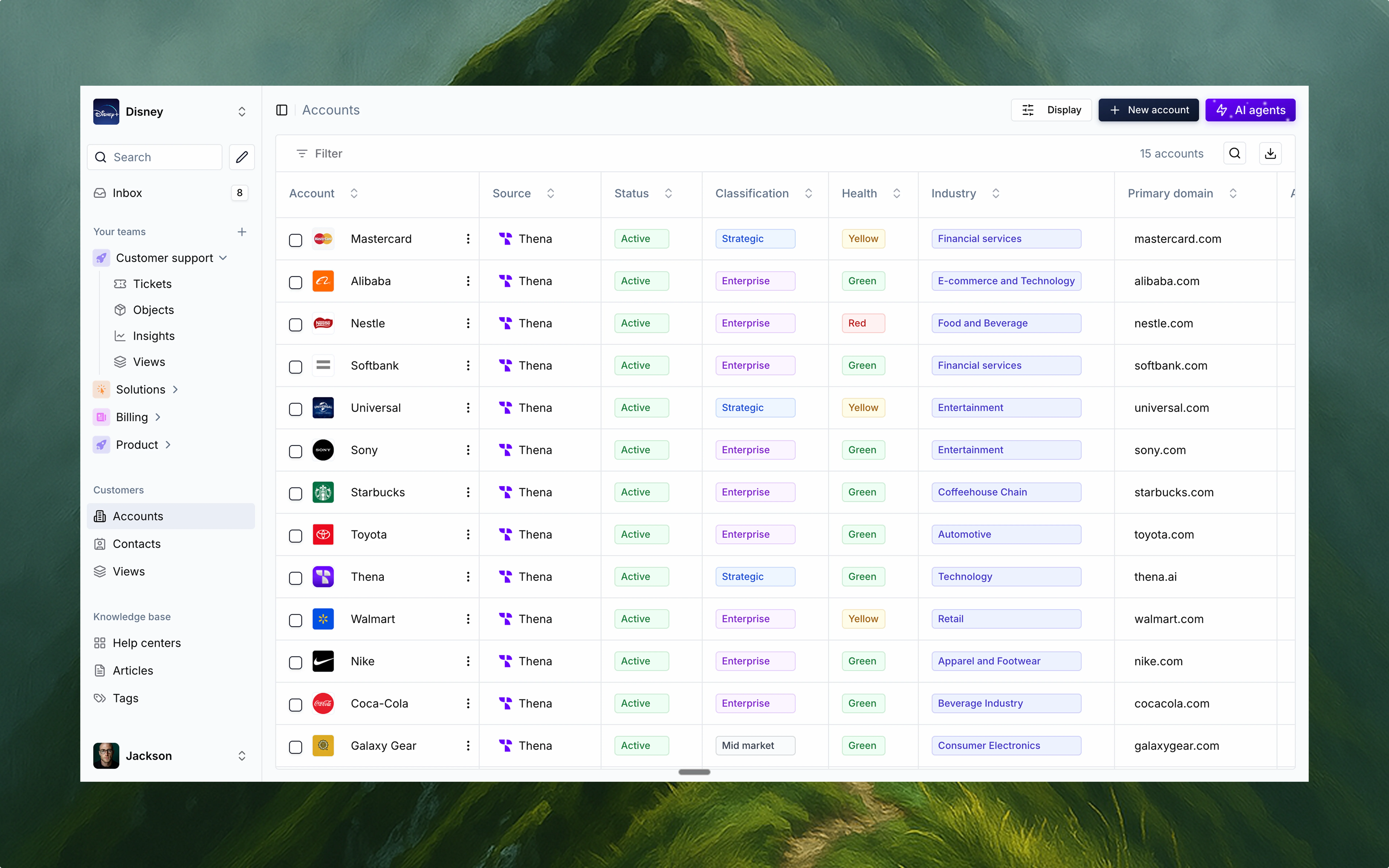 Accounts view interface