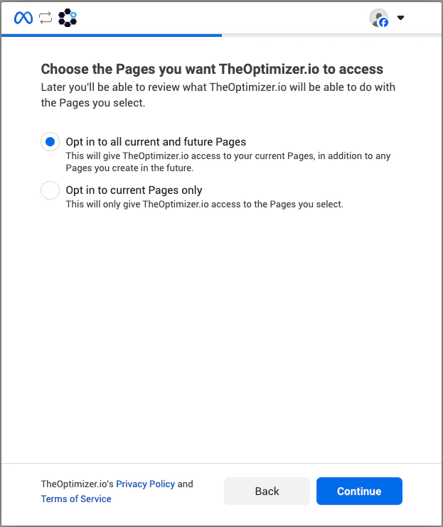 Pages selection screen — choose Opt in to all current and future Pages to avoid repeating this step