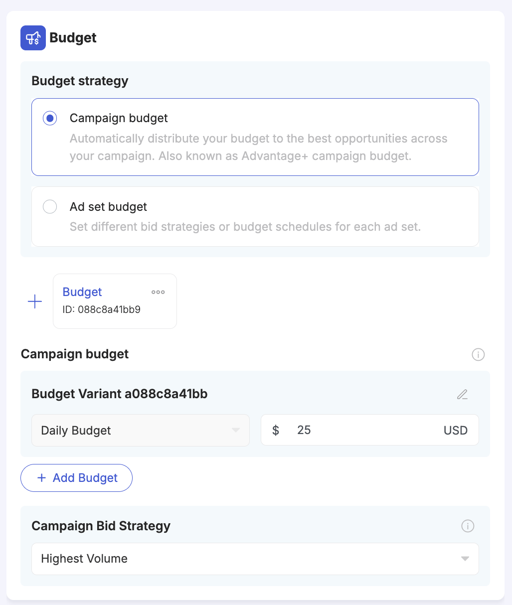 Campaign-level Budget section — Campaign budget vs Ad set budget strategy, Budget Variant, and Bid Strategy