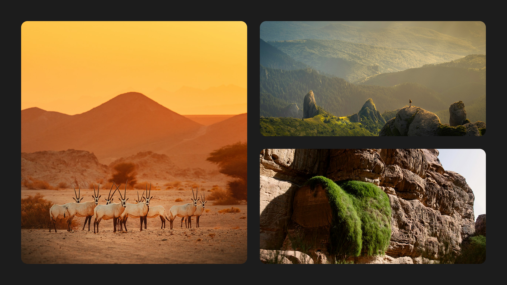 Images template