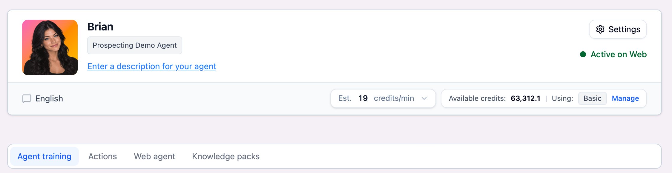 Prospecting Demo Agent configuration header