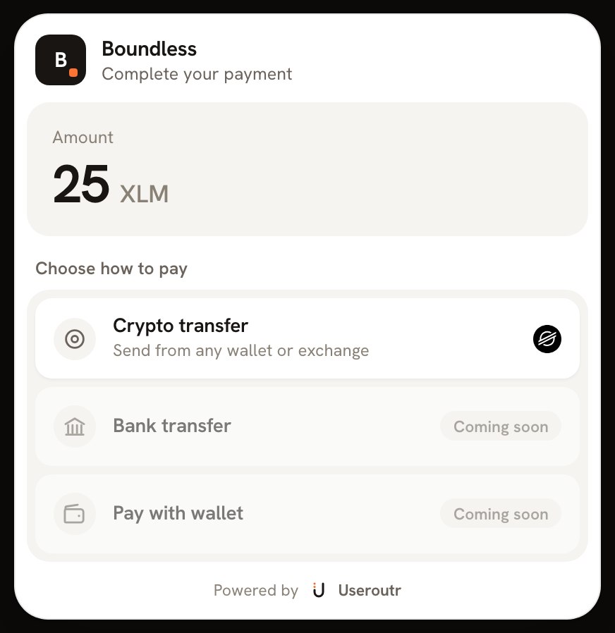 The hosted checkout, showing the amount due and the ways to pay