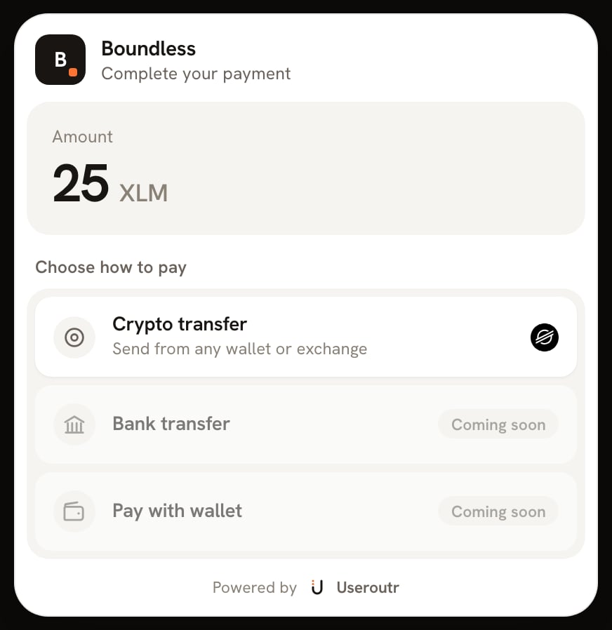The hosted checkout, showing the amount due and the ways to pay