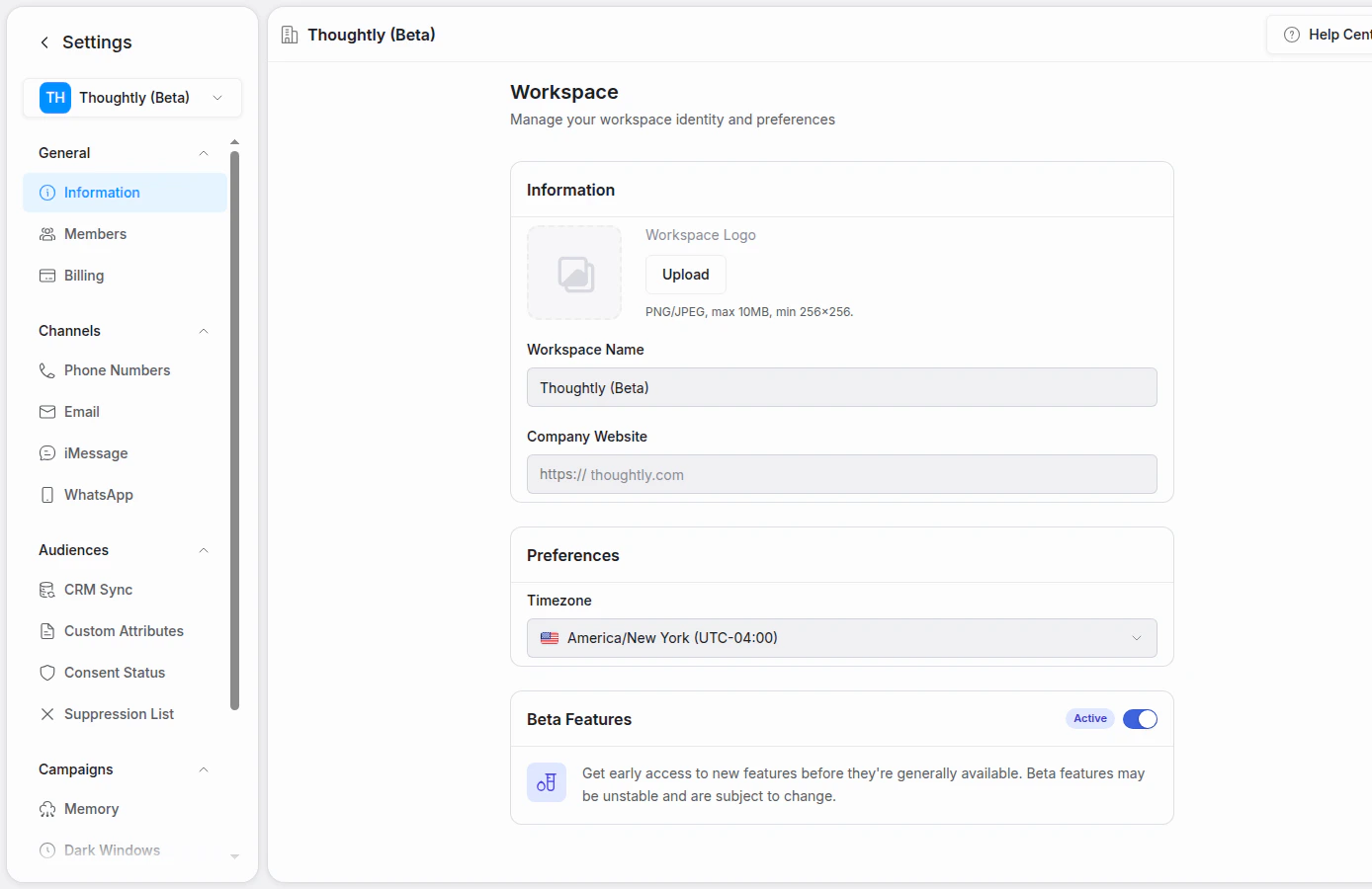 Thoughtly workspace settings with channel, audience, and campaign sections