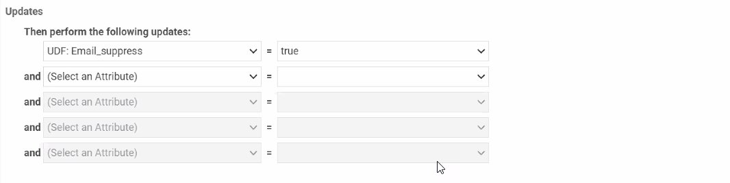 Workflow rule update setting the EmailSuppress UDF