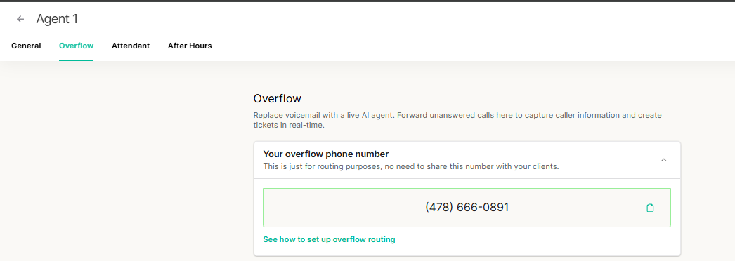 Overflow agent overview