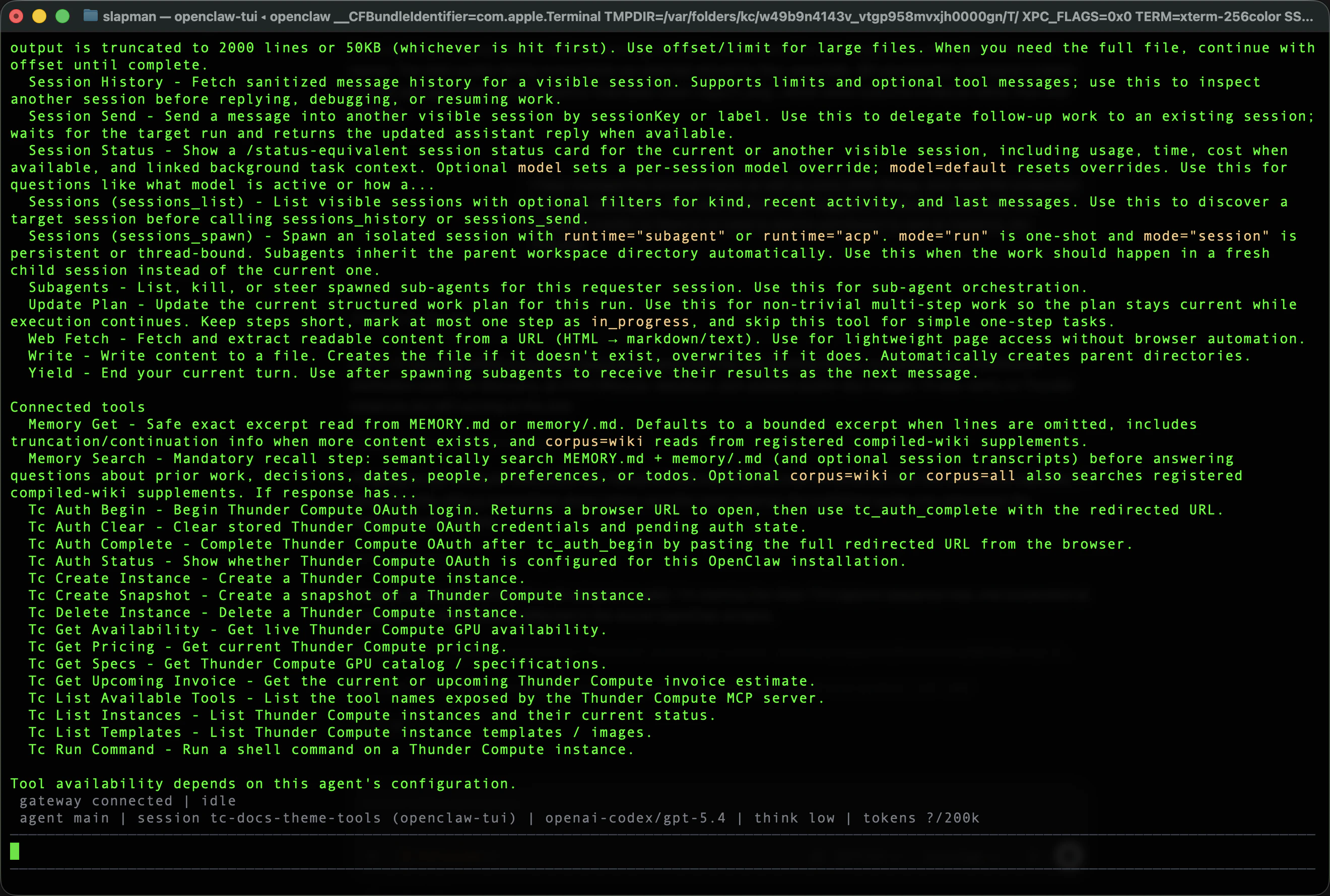 OpenClaw tools verbose showing Thunder Compute tools