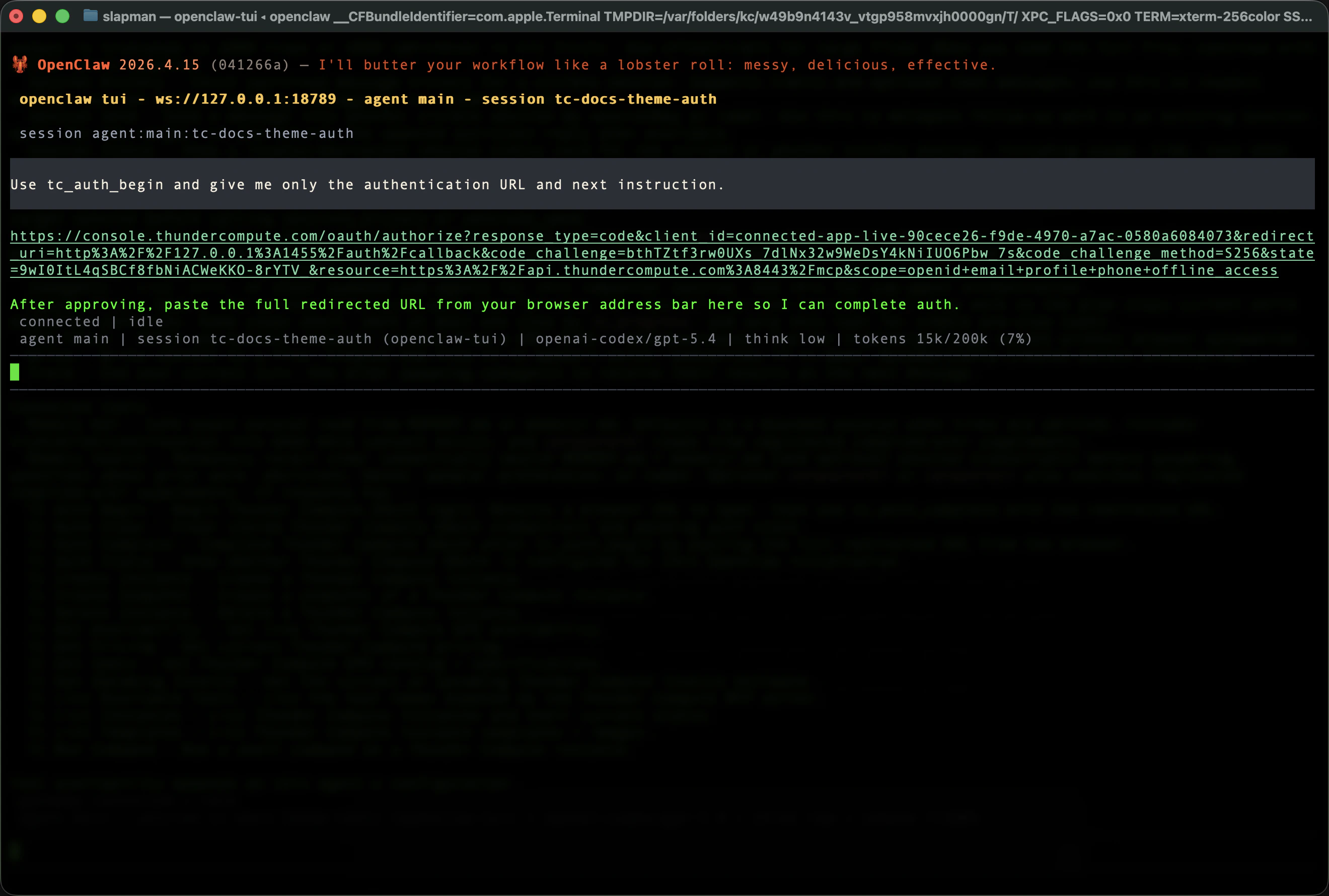Thunder Compute OAuth URL returned by tc_auth_begin