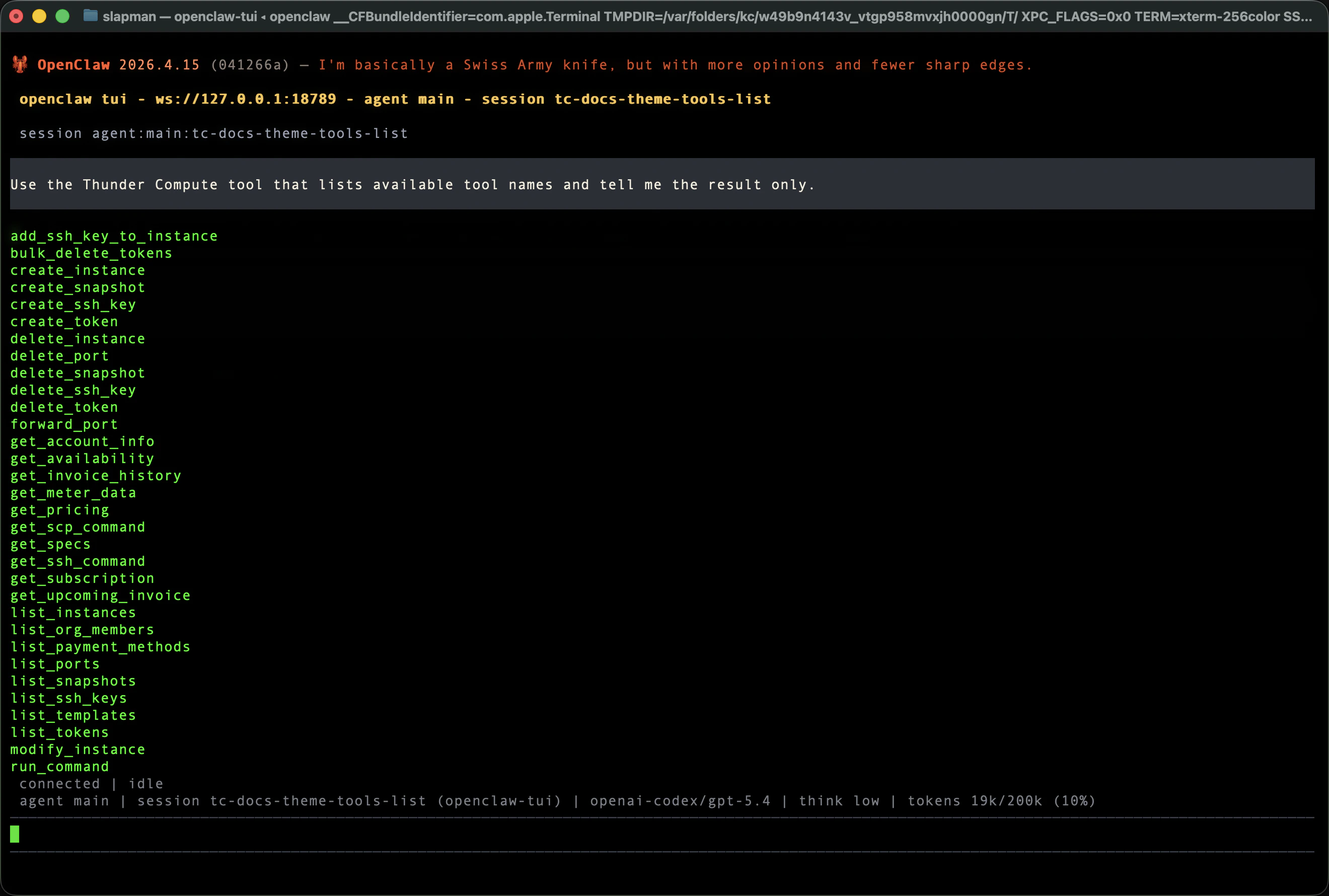 Live Thunder Compute MCP tool enumeration