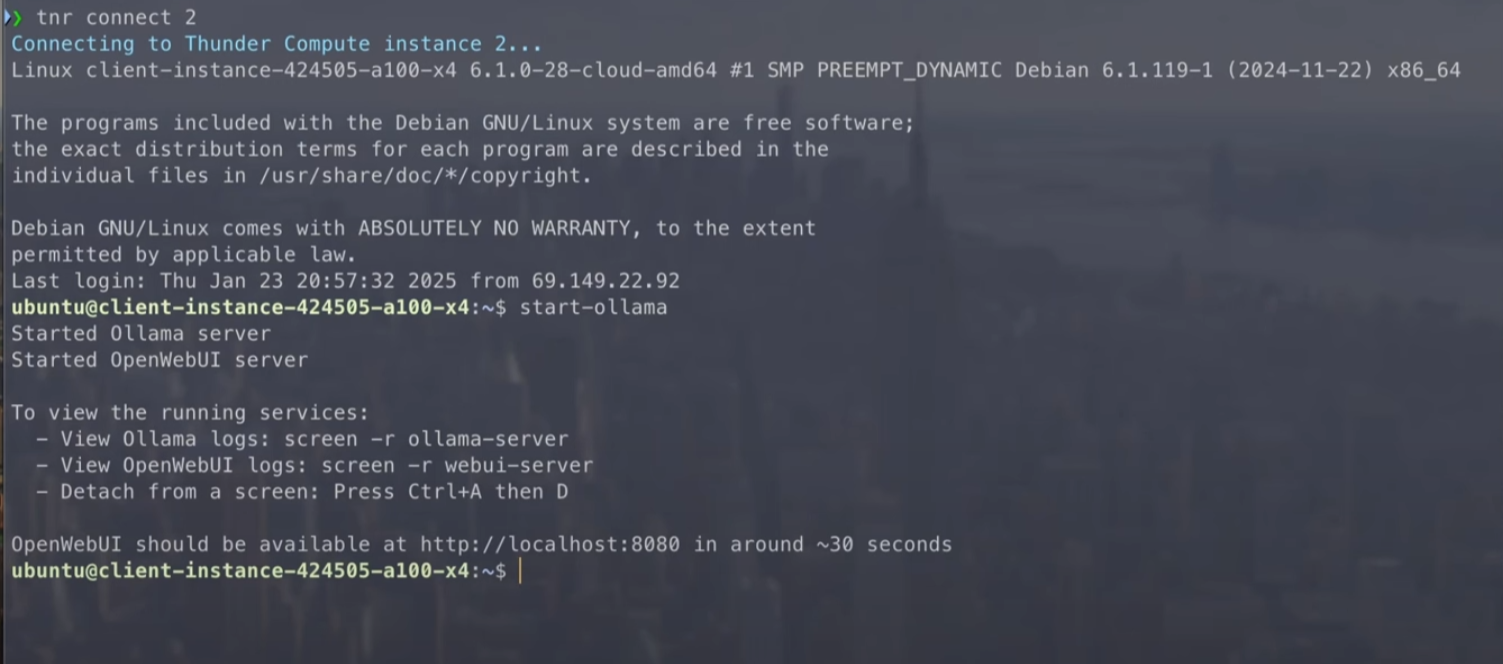 Ollama server startup