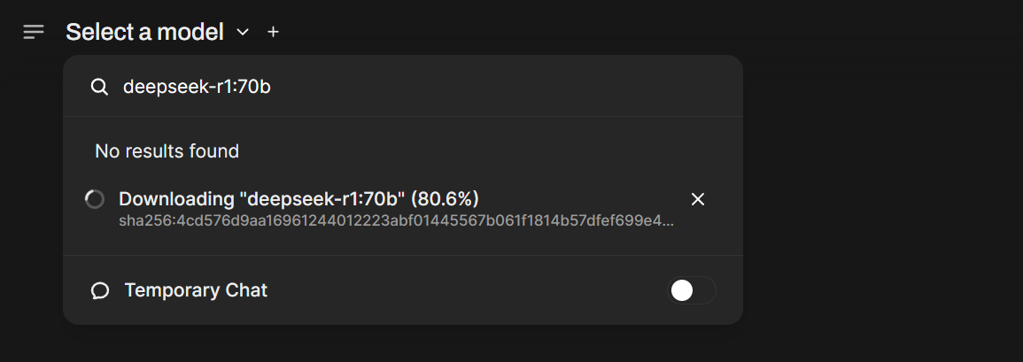 Web UI with model selection
