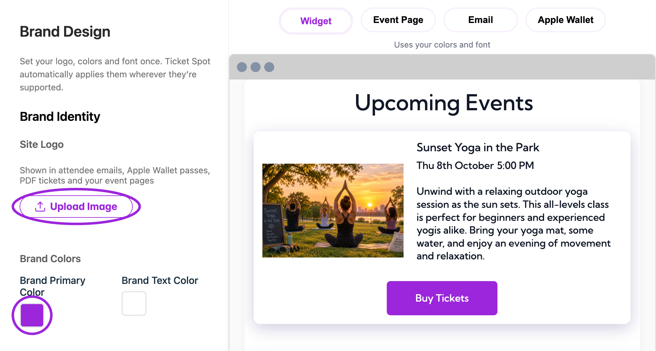 Design → Brand contains the logo upload, shared brand colors, and a live preview.