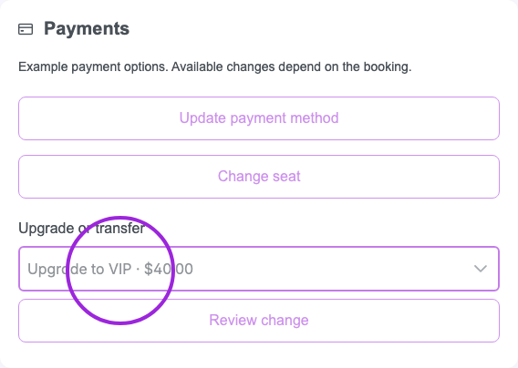 Payments preview with the example VIP upgrade circled and payment controls disabled