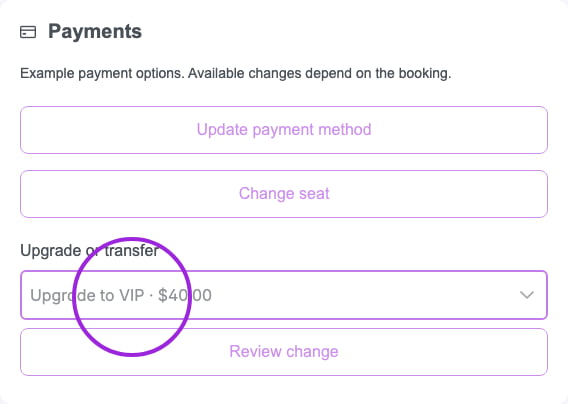 Payments preview with the example VIP upgrade circled and payment controls disabled