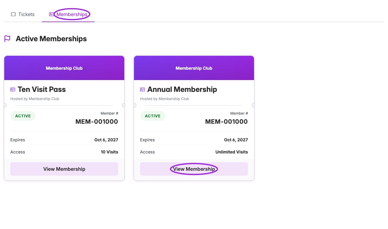 Signed-in buyer portal with two purchased memberships and the Memberships tab selected.