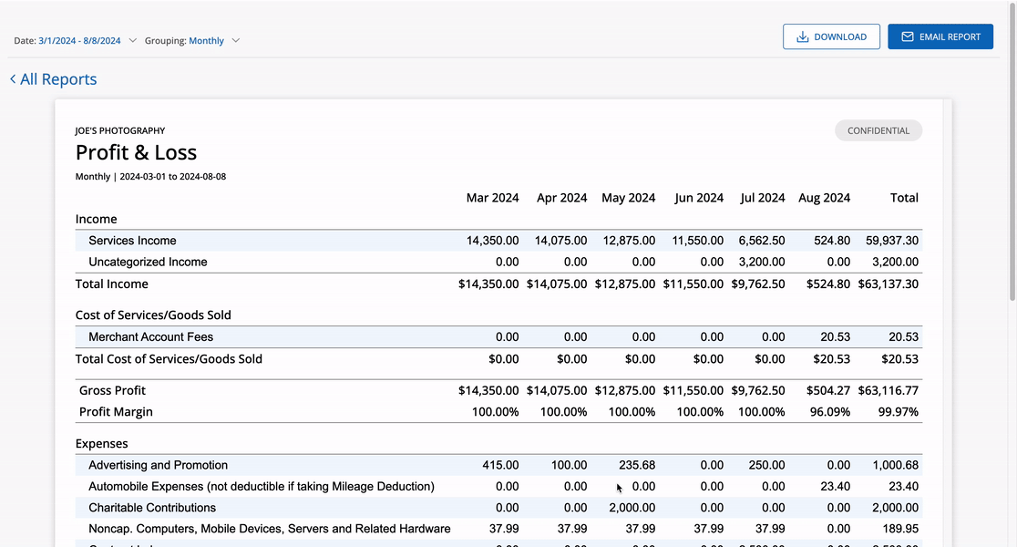 Profit & Loss Report Demo of custom styling