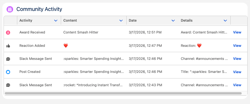 Member Activity Log LWC showing a sortable table of activities with View links