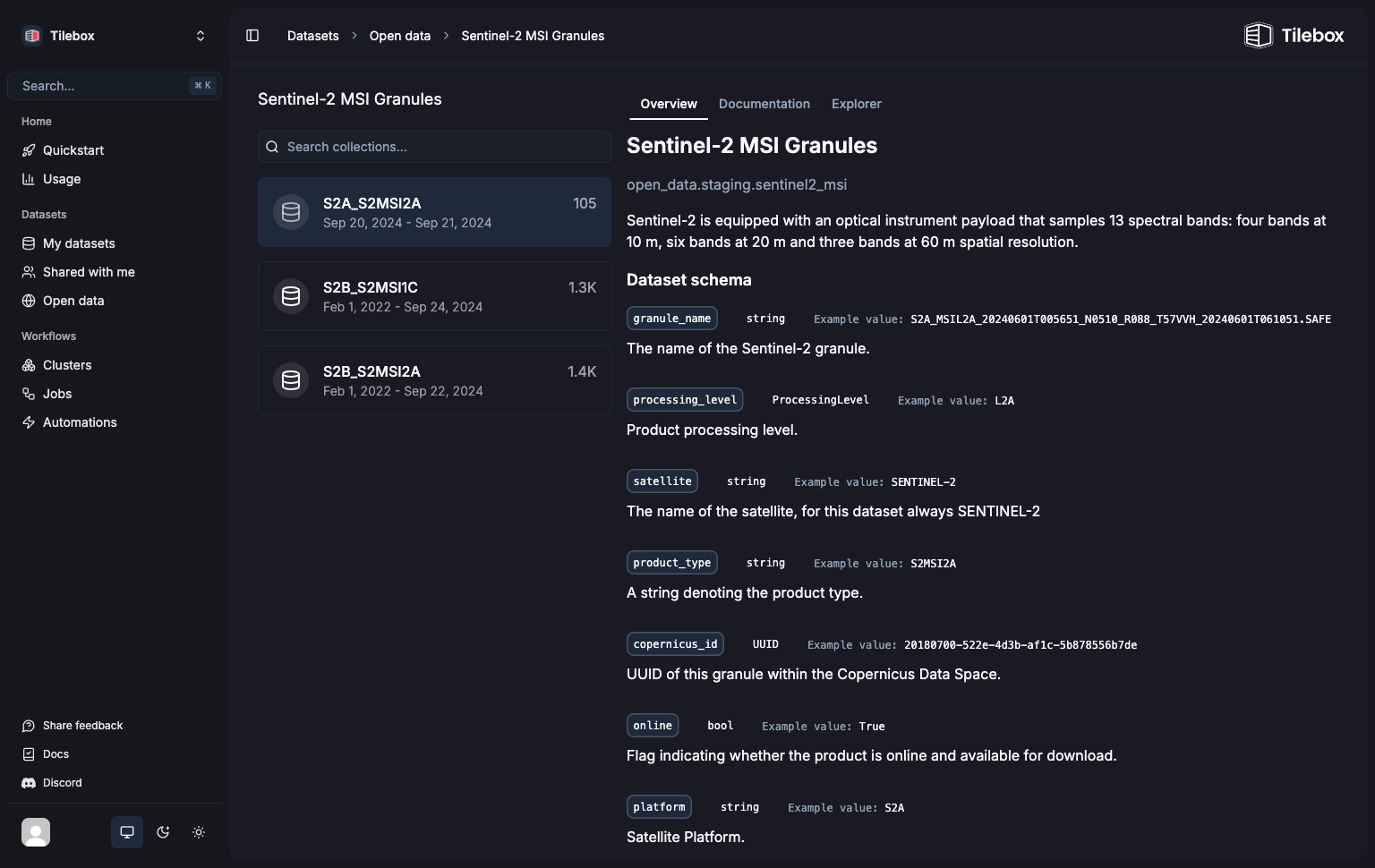 Dataset schema overview
