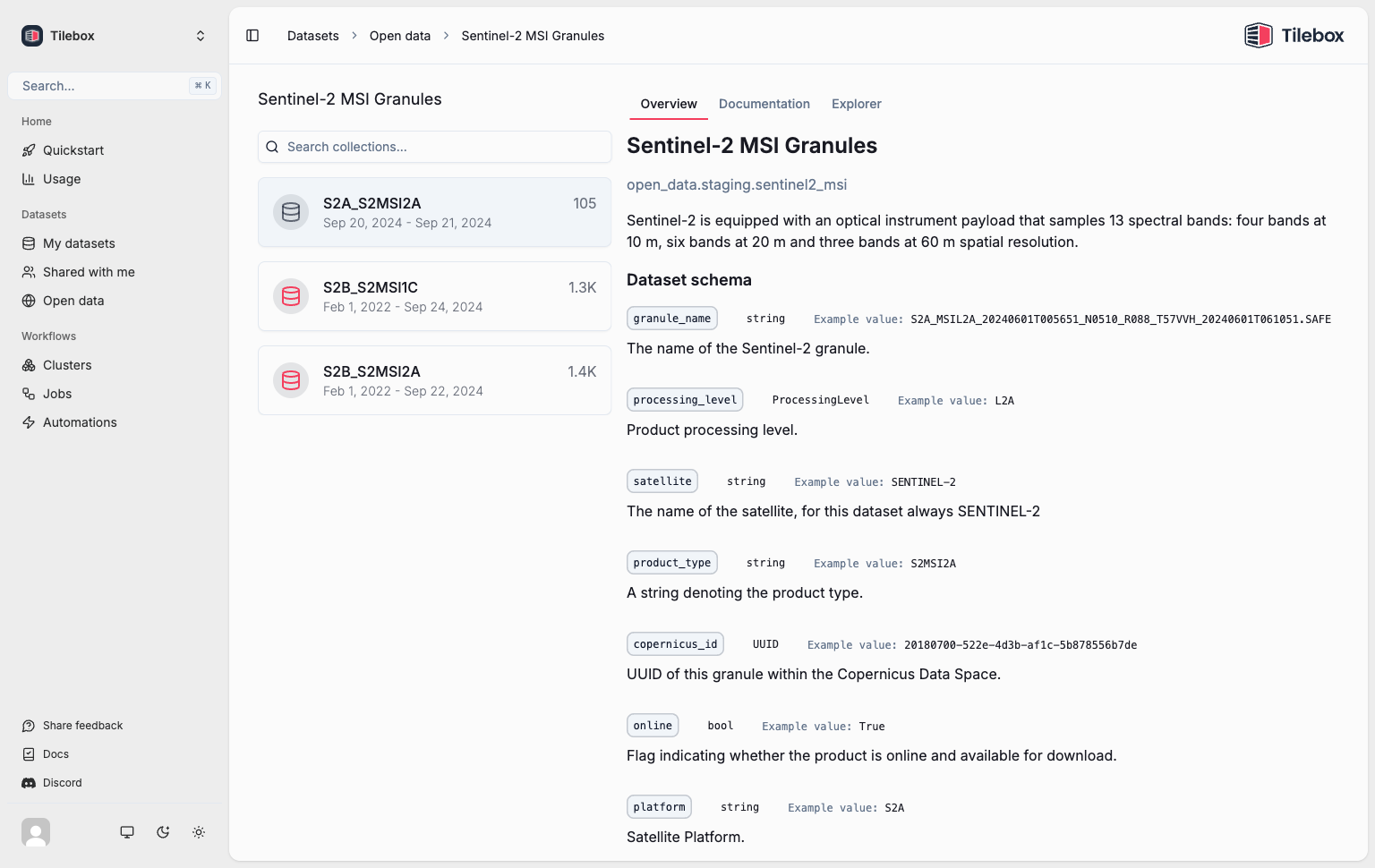 Dataset schema overview
