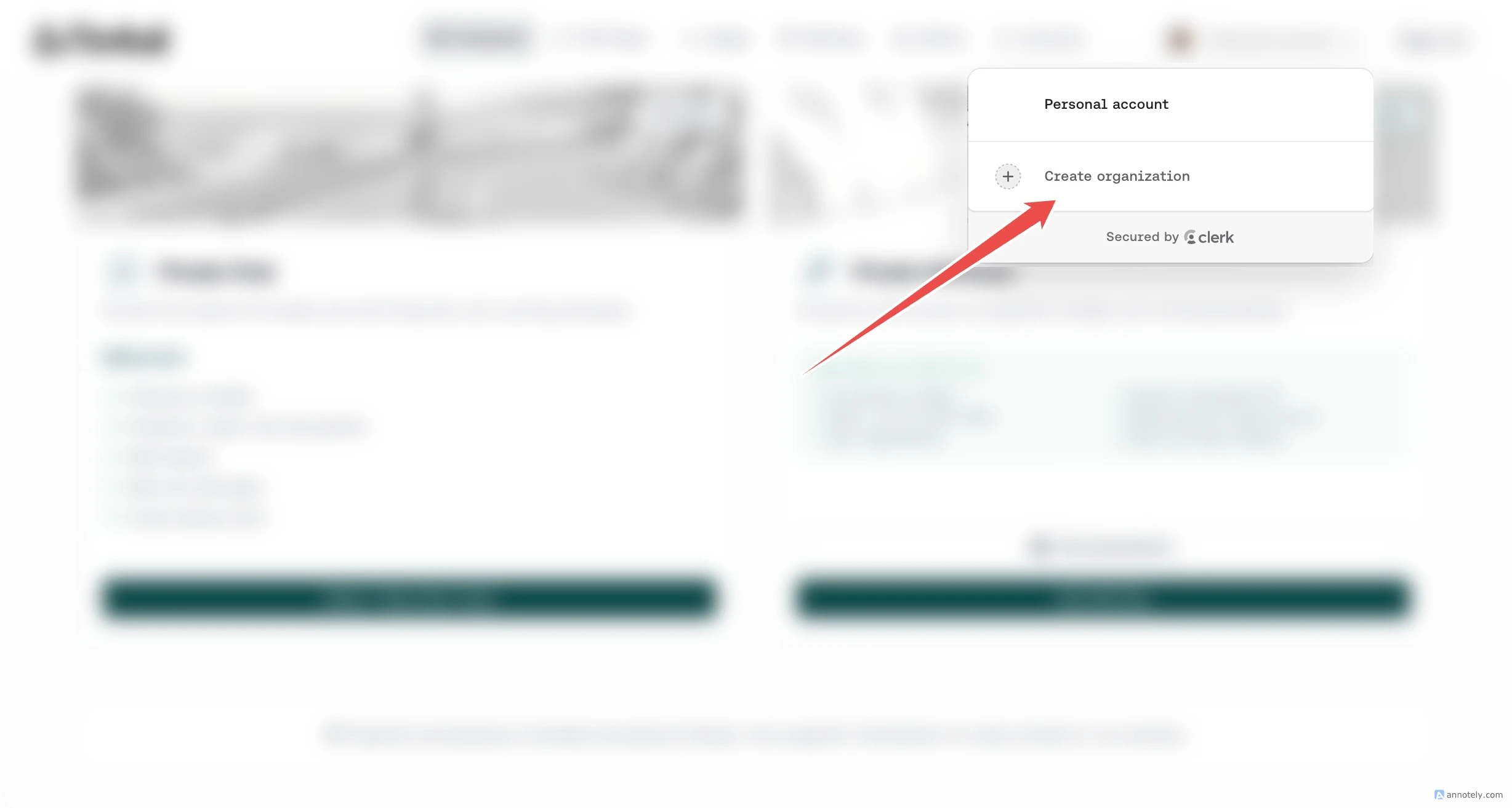 Create organization option