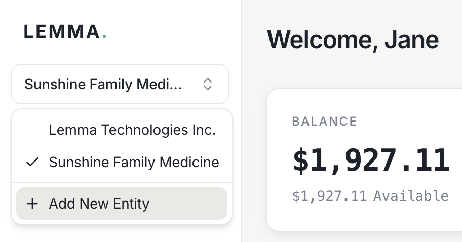 The entity switcher in the sidebar showing two linked entities and a button to add a new entity.