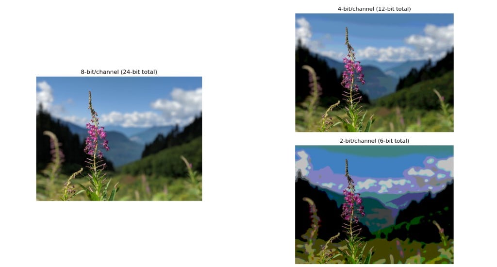 The same landscape photo of fireweed against a mountain backdrop, rendered at 8-bit/channel (24-bit total), 4-bit/channel (12-bit total), and 2-bit/channel (6-bit total). The 8-bit and 4-bit versions look nearly identical; the 2-bit version is heavily posterized with visible color banding.