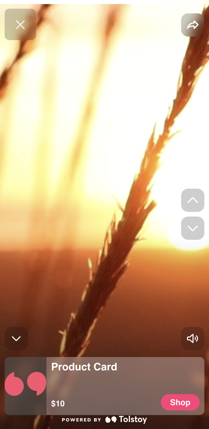 product_card_preview