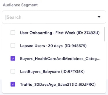 Campaign targeting interface showing audience segment selection options