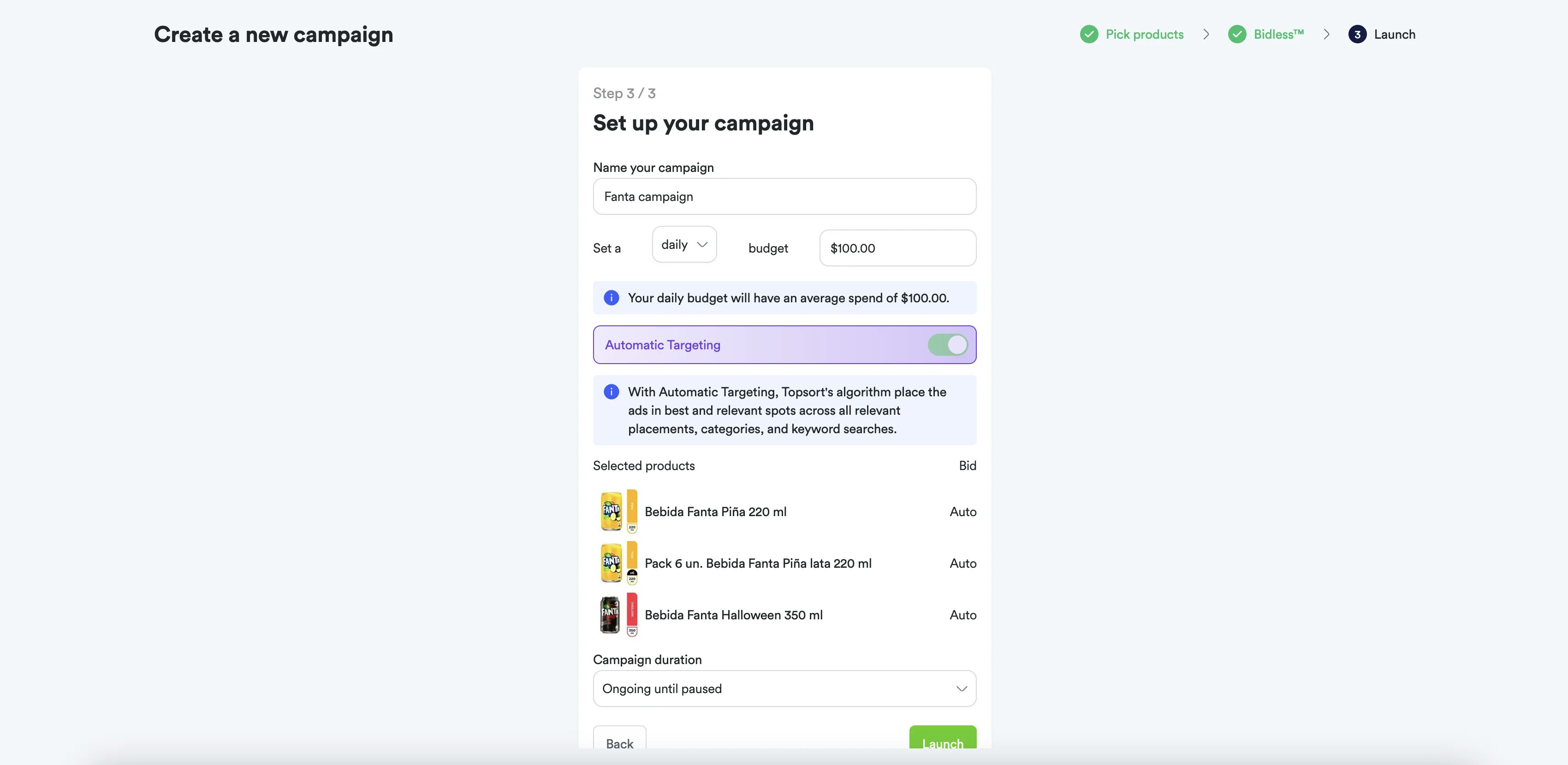 Step 3: Configuring campaign name, budget, and schedule.