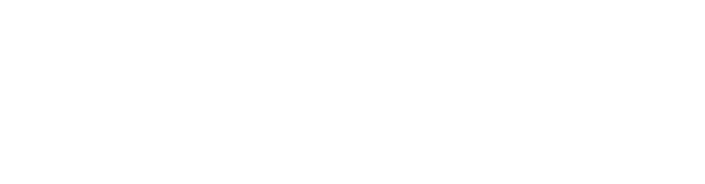Tori 로고 라이트