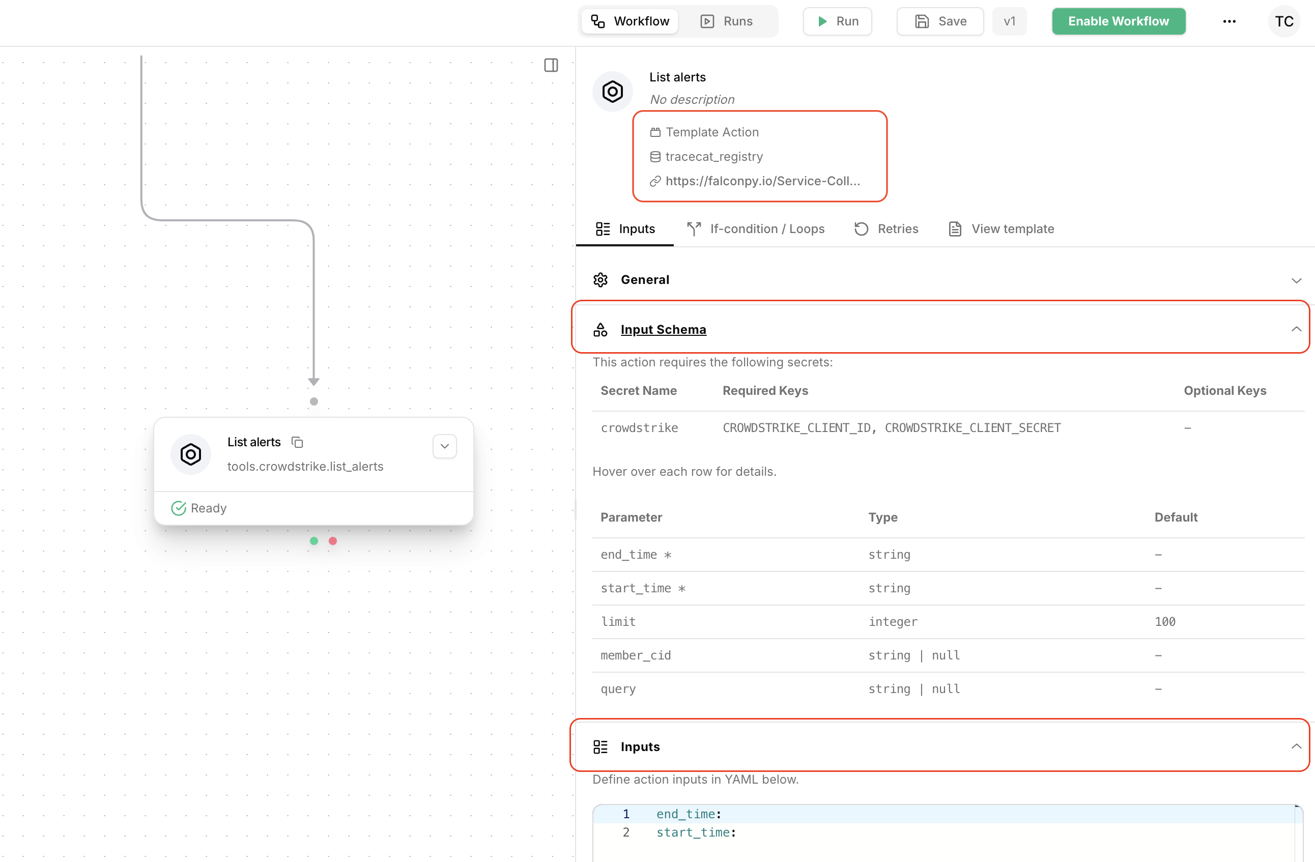 Action input schema