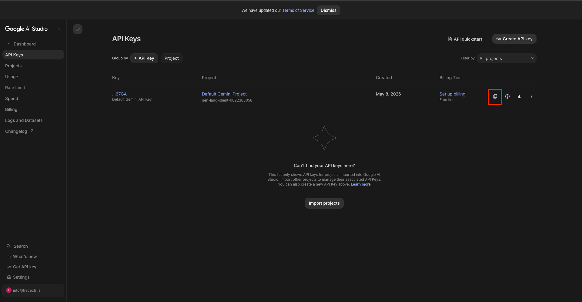 Google AI Studio API Keys page — the copy button is highlighted in red on the right side of the key row