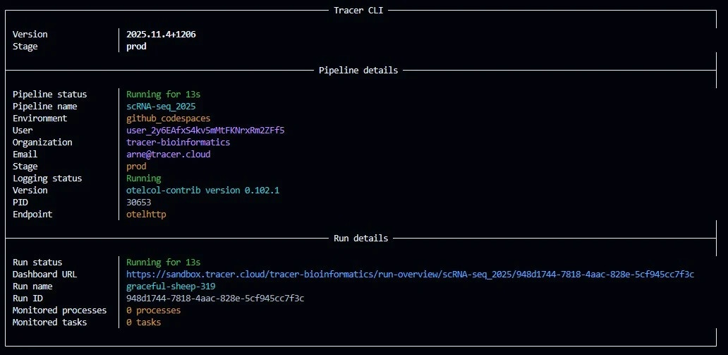 Successful connection snapshot 2