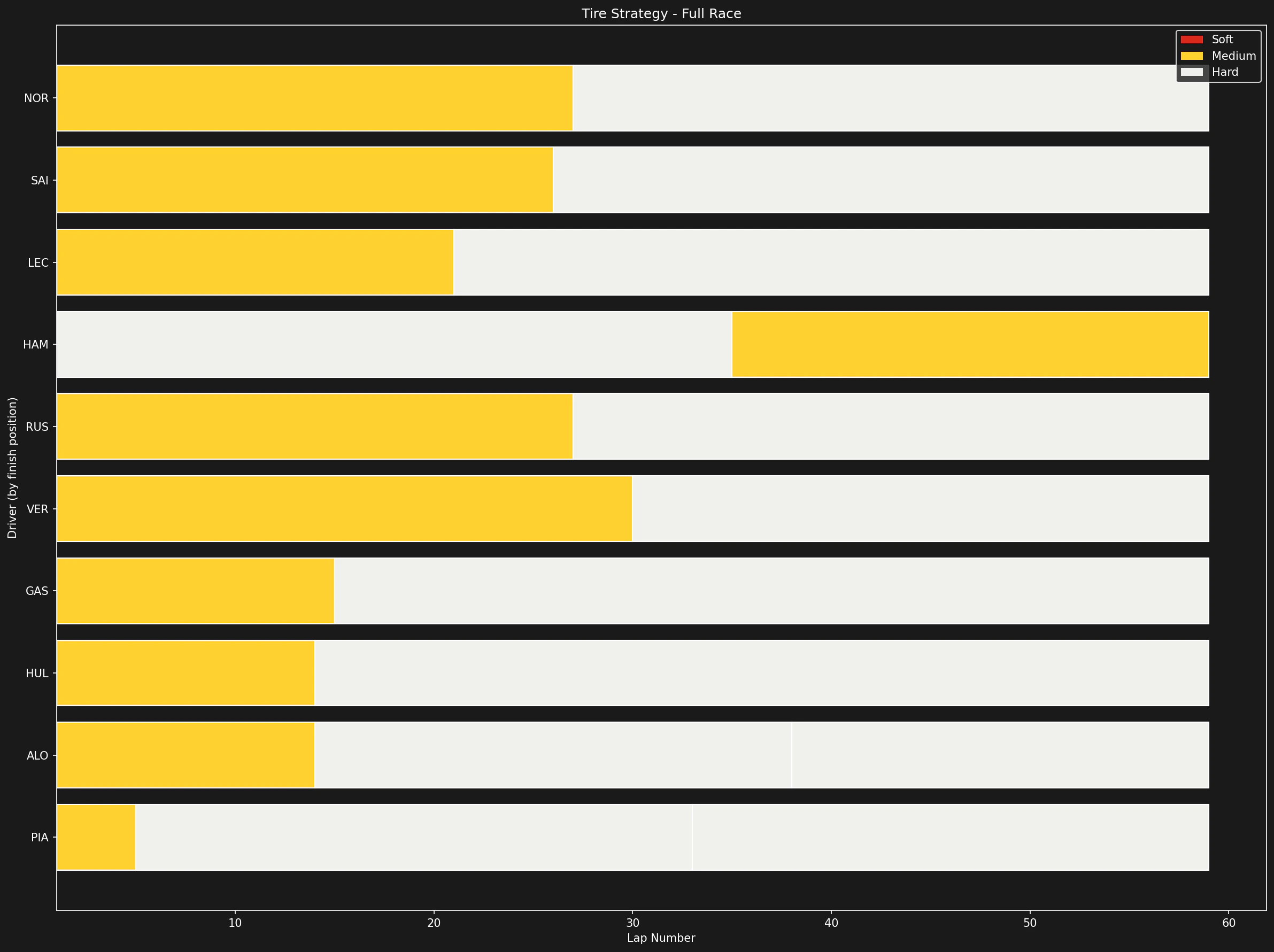 Tire strategy visualization showing compound usage throughout the race