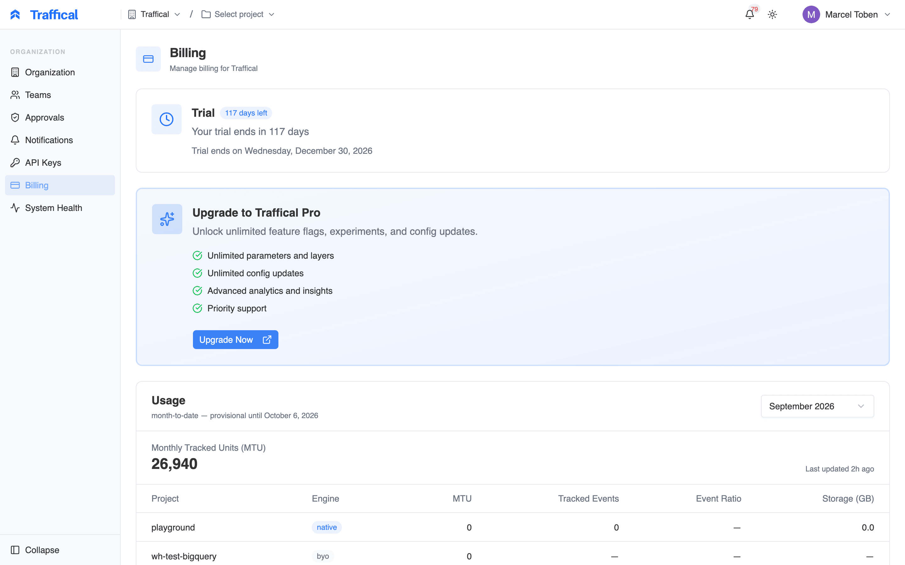 Billing page showing plan status card and monthly usage placeholder