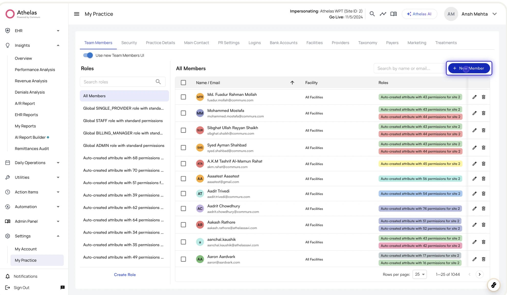 The Team Members page with the Roles sidebar and members table