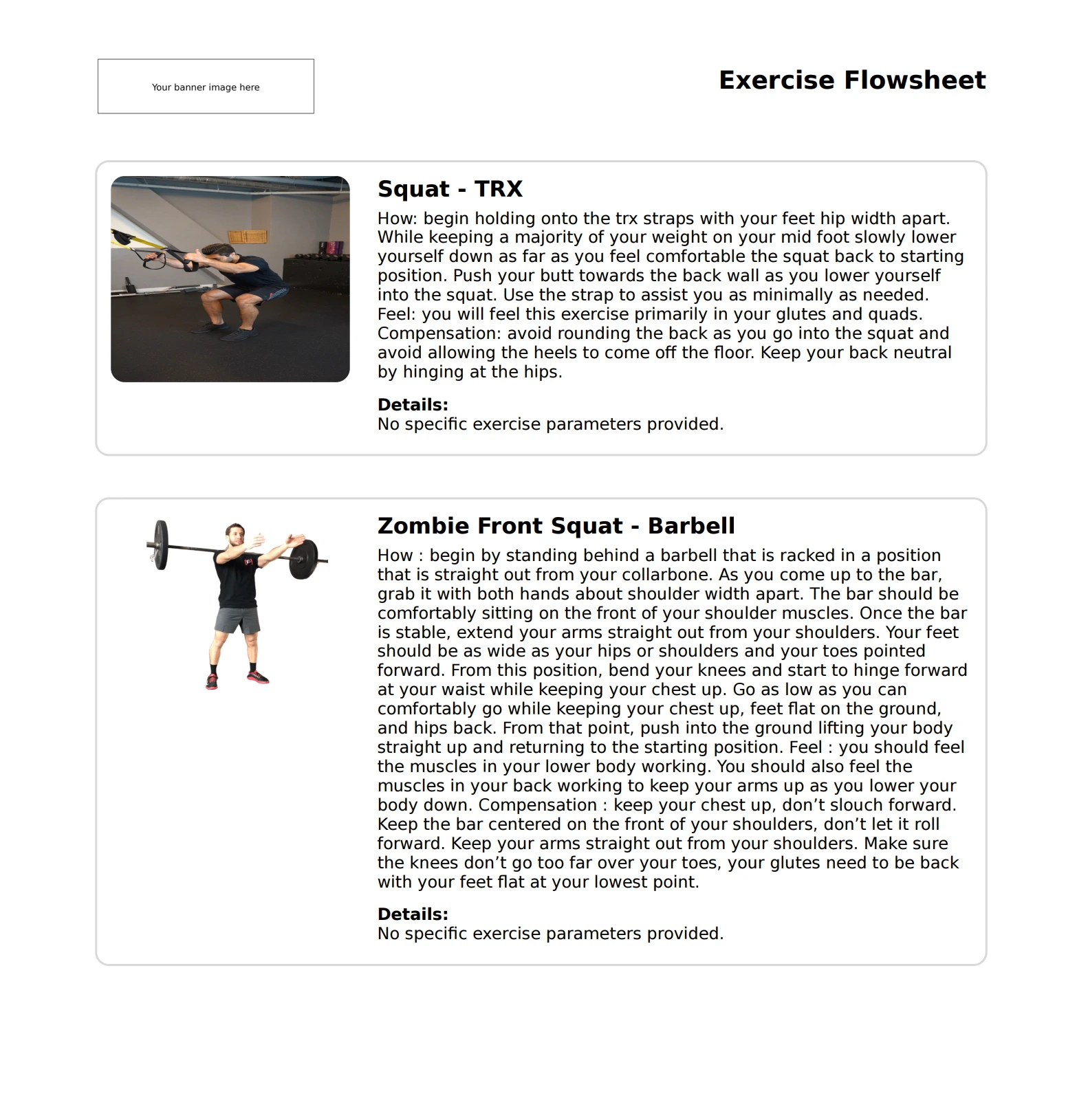 Branding on a Home Exercise Program PDF